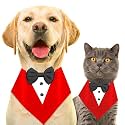 BURAQ Dog Tuxedo Bandana, Ideal for Dog Birthday Decorations, Adorable and Comfortable Pet Apparel (XS - Red)