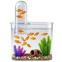 Buraq Floating Fish Tank BL-10V with WRGB N6 LED Light and Hang-On Filter Compact Acrylic Aquarium for Betta Goldfish Desk