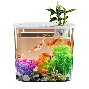 buraq hydroponic fashion aquarium mini fish tank with planting basket for guppies shrimp polycarbonate material suitable for home living room and office