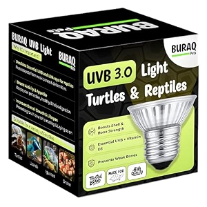 buraq pets reptile turtle uvb ultraviolet basking heat light bulb combo pack set of 1 uv bulbs 25 watt e27
