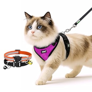 buraq pets cat harness with leash with 2 pcs collor no pull no choke