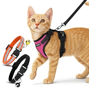 buraq pets cat harness with leash with 2 pcs collor no pull no choke