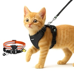 buraq pets cat harness with leash with 2 pcs collor no pull no choke