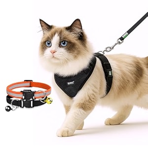 buraq pets cat harness with leash with 2 pcs collor no pull no choke