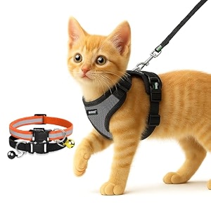 buraq pets cat harness with leash with 2 pcs collor no pull no choke