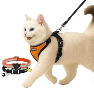 buraq pets cat harness with leash with 2 pcs collor no pull no choke