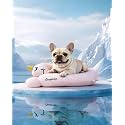 BurgeonNest Cooling Small Dog Pillow for Puppies and Cats (Cool Pink, Medium)