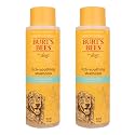 Burts Bees for Pets Itch Soothing Dog Shampoo, Honeysuckle, 16 Fl Oz, 2-Pk