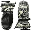 Burton Women's Gore-TEX Insulated Mittens