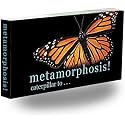 Butterfly Flipbook for Kids Ages 6-12, Animation Flip Book for Children