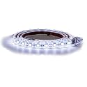 Buyers Products 5623755 36 Inch LED Strip Light w/ 3M Adhesive Back, Clear and Cool Color, Cut to Fit, Strip Lighting for Trucks, Trailers, Toolboxes &amp; More