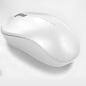 Polar Wireless 2.4G Optical Mouse with 12-Months Battery Life, Ambidextrous, USB Receiver for Notebook, Laptop, Computer, MacBook, Windows, MacOS