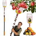 Buyplus 30ft High Reach Fruit Picker with Basket Telescoping, 5-24 Foot Heavy Duty Sturdy Aluminium Telescoping Extension Pole, Easy to Attach Twist-On Metal Basket for Picking Mango Avocado Lemon