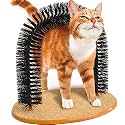 BUYTER Cat Massage Scratching Itch Kitty Hair Tools Beauty Care Brush Bristle Arch