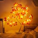 Byncceh 24LED MapleTree Lights- DIY Bonsai Tree Lights, USB/Battery poweredtouch Switch Warm Fairy Lights Tree lamp for ChristmasParty Home Decoration (Warm White Light)