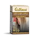 byPureNaturals QuikHenna Aqua Powder Hair Colour 6G Golden Blonde 110gm | PPD &amp; Ammonia Free Beard Colour for Men | Natural Hair Colour for Women &amp; Men