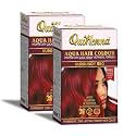 byPureNaturals QuikHenna Aqua Powder Hair Colour 9RG Burgundy 110gm- Pack of 2 | PPD &amp; Ammonia Free Beard Colour for Men | Natural Hair Colour for Women &amp; Men