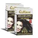 byPureNaturals QuikHenna Aqua Powder Hair Colour 2N Soft Black 110gm- Pack of 2 | PPD &amp; Ammonia Free Beard Colour for Men | Natural Hair Colour for Women &amp; Men