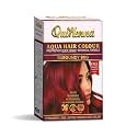 byPureNaturals QuikHenna Aqua Powder Hair Colour 9RG Burgundy 110gm | PPD &amp; Ammonia Free Beard Colour for Men | Natural Hair Colour for Women &amp; Men