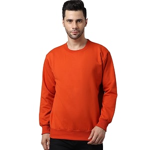 BZR-Mens Fleece Round Neck Regular Sweatshirt Sw