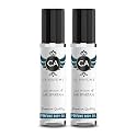 CA Perfume Impression of Mr. Spartan for Men Eau De Parfum Aromatic Fougere Scent Long Lasting Cologne for Men Travel Size TSA Ready for Day and Night Wear 0.33 Fl Oz 10ml (Pack of 2)