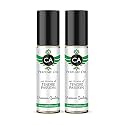 CA Perfume Impression of Tendre Passion for Women Eau De Parfum Floral Scent Long Lasting Perfumes for Women Travel Size TSA Ready for Day and Night Wear 0.33 Fl Oz 10ml (Pack of 2)