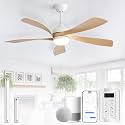 CACI Mall 52 inch Smart Ceiling Fan with Lights, Remote Control, Compatible with Alexa/Google/App, 5 Blades, Dimmable Lighting, Quiet, Indoor/Outdoor Ceiling Fans for Living Room, Bedroom, Patios