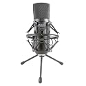CAD Audio GXL2600USB Large Diaphragm USB Studio Microphone