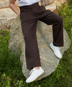 CAHOOT Regular Fit Men Brown Trousers