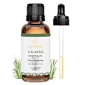 Calamus Essential Oil for Skin Hair Diffuser DIY Anointing Oil- 1 Oz