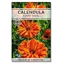 Navika Seeds ; Grow with Us Calendula Flower Seed.Perfect for Home &amp; Terrace Gardening Winter &amp; Summer Blooms in India-Includes Free E-Book for Kitchen,Backyard,Gardening &amp; Planting.High Germination.