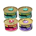 California Scents Spillproof Can Air Freshener in Desert Jasmine, Monterey Vanilla, and Coronado Cherry Scents: Best Car Air Freshener and Odor Eliminator, Combo Kit