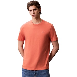 Calvin Klein Jeans Mens Regular Fit T