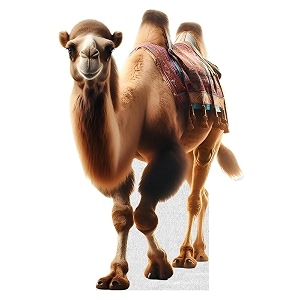Camel - Life Size Cardboard Cutout Standup