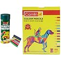 Camel Plastic Crayons - 12 Shades 4193588 Half Size Color Pencil With Sharpener, Assorted, 12 Pieces