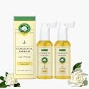 Camellia Hair Oil Spray - Frizz Control, Shine Boosting, Moisturizing & Smoothing, Nourishes & Strengthens Hair, Unisex Daily Hair Care (2 Packs, 1.69 fl oz Each)