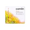 Camlin Artist Colour Pencils - 24 Shades, Multicolor