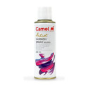 Camlin Artist's High Gloss Varnish for Acrylic Painting Wood Art Acrylic Medium
