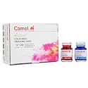 Camlin Pack of 12 Coloured Drawing Inks in 20 ml Bottles