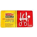 Camlin Scholar Dissection Instruments Stainless Steel Geometry Box (Multicolor)