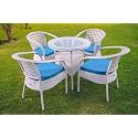 Candid Home Premium D-8 Garden/Balcony/Terrace Patio Seating Chair and Table Set Outdoor Furniture (4 Chair 1 Table, White+ Blue)