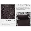 Candid Home Single Seater Swing Chair with Stand &amp; Cushion Outdoor Indoor Balcony Garden Patio, Powder Coated Frame,UV Protected Wicker, Premium Cushion (Half White Half Black with Black Cushion)