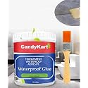 300gm Crack Seal Glue with Brush | Transparent Waterproof Solution for Roof Leakage | Waterproofing Agent for Lasting Protection | Epoxy Resin Sealant for Pipes, Walls, Tiles