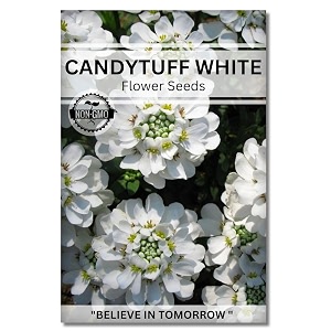navika seeds  grow with us candytuft white flower seeds for home gardening perfect for terrace gardening winter and summer blooms in india - includes free e-book
