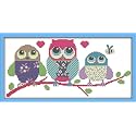 CaptainCrafts Cross Stitch Kits, New Counted Kit Unprinted 14CT Fabric Cross Stitching DIY Art DMC Needlecrafts Embroidery Kit for Adults Beginner (White, Cartoon Owl)