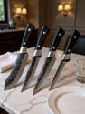 Captoola 4 Pc Carbon Steel Knife Set