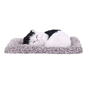 car accessories for dashboard - black amp white activated charcoal sleeping cat toy - real cat dashboard accessories 18cm x 14cm car dashboard toy