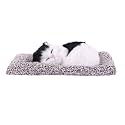 Car Accessories for Dashboard - Black &amp; White Activated Charcoal Sleeping Cat Toy - Real Cat Dashboard Accessories, 18cm x 14cm Car Dashboard Toy