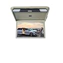 Car Headrest Player, 1080P 19 Inch Car Monitor HD LCD Screen Auto Ceiling TV Motorhome Roof Mount Display MP5 Portable (Beige MP5)