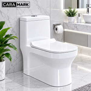 CARA MARK Floor Mounted Western ToiletS-TRAP Premium